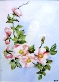 	20. Dog Rose by Barbara Hilton.JPG	